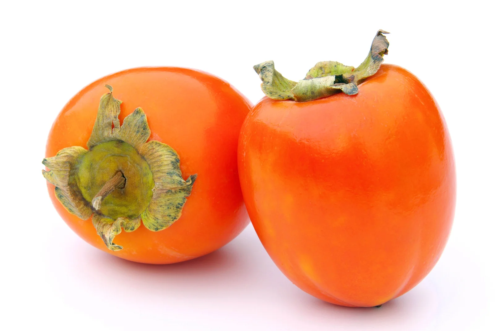 persimmon_01.webp