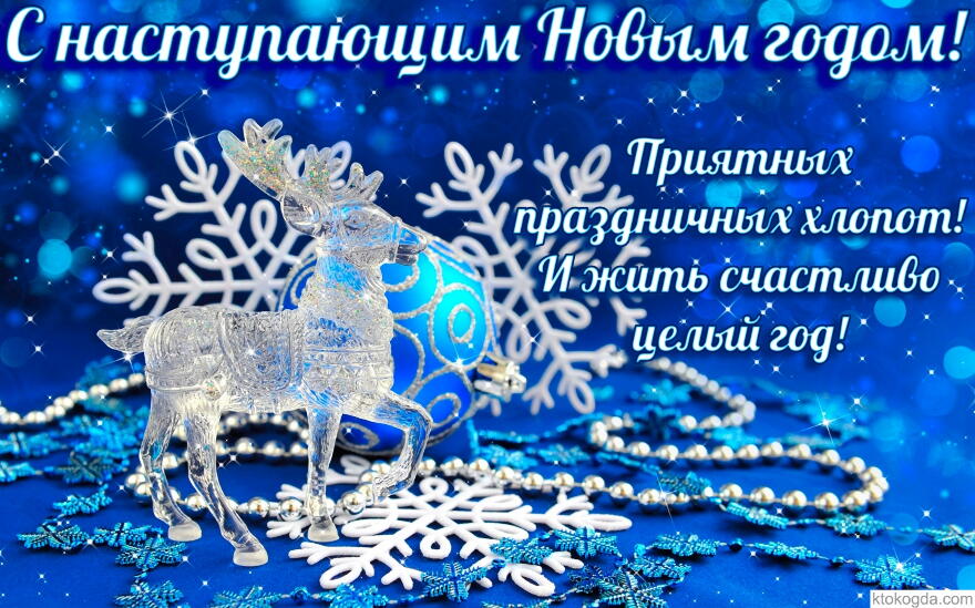 петух6.jpg
