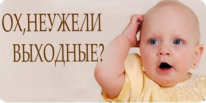 pgjvfOVvEfg.webp