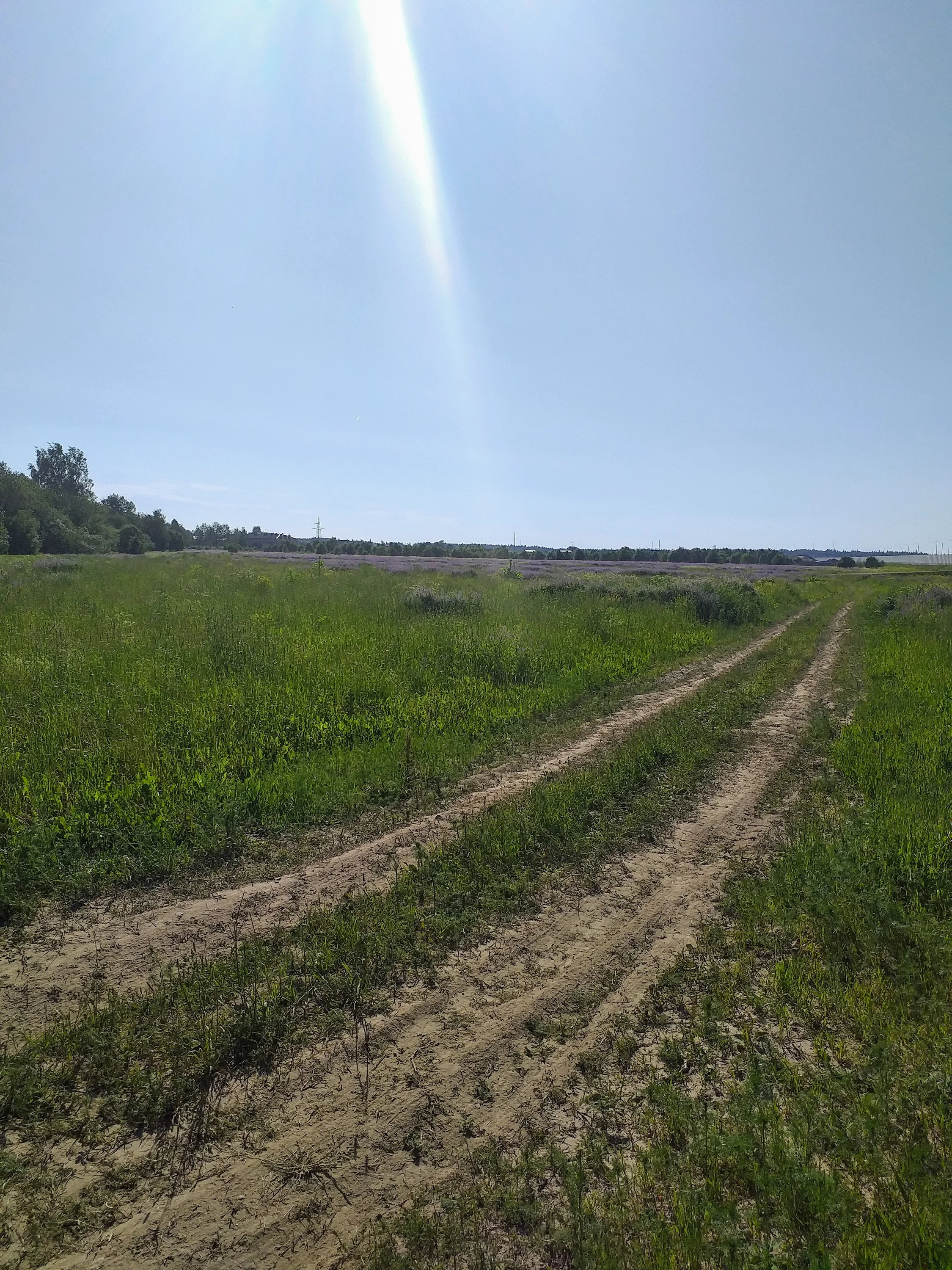 [USER=46161]@Phiby[/USER] (3).jpg