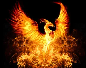 phoenix.webp