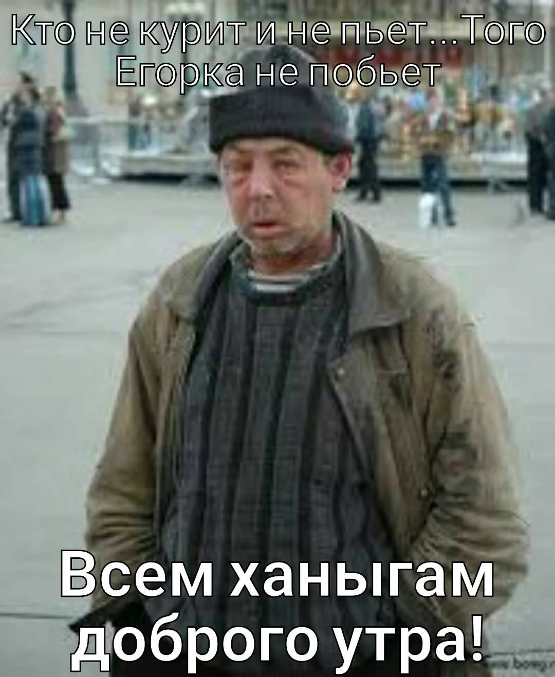 photo 253 8-48-42.webp