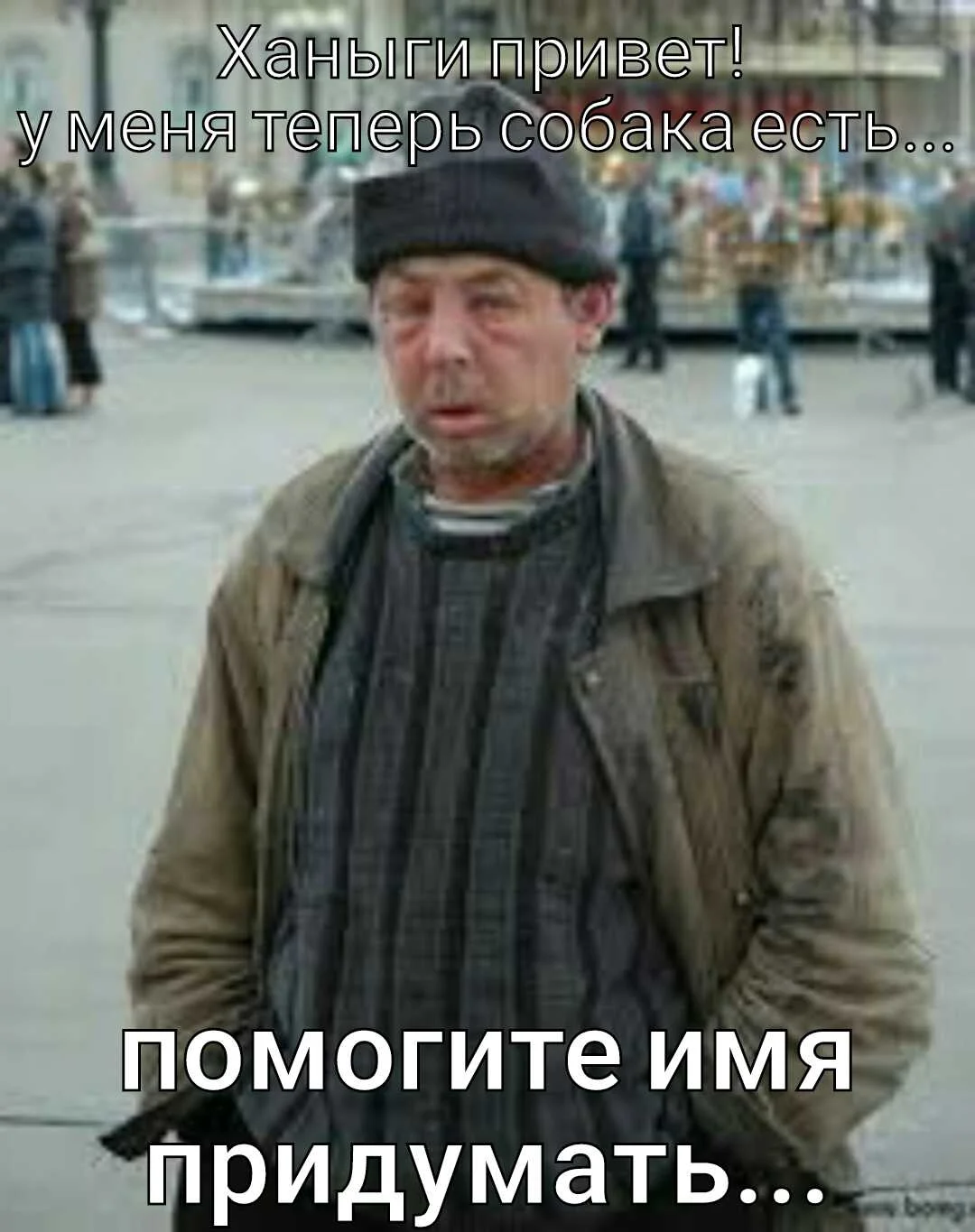 photo 263 11-33-8.webp