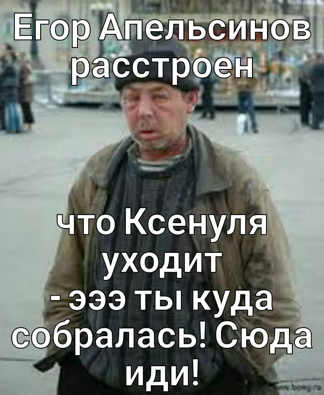 photo 93 1-48-50.webp