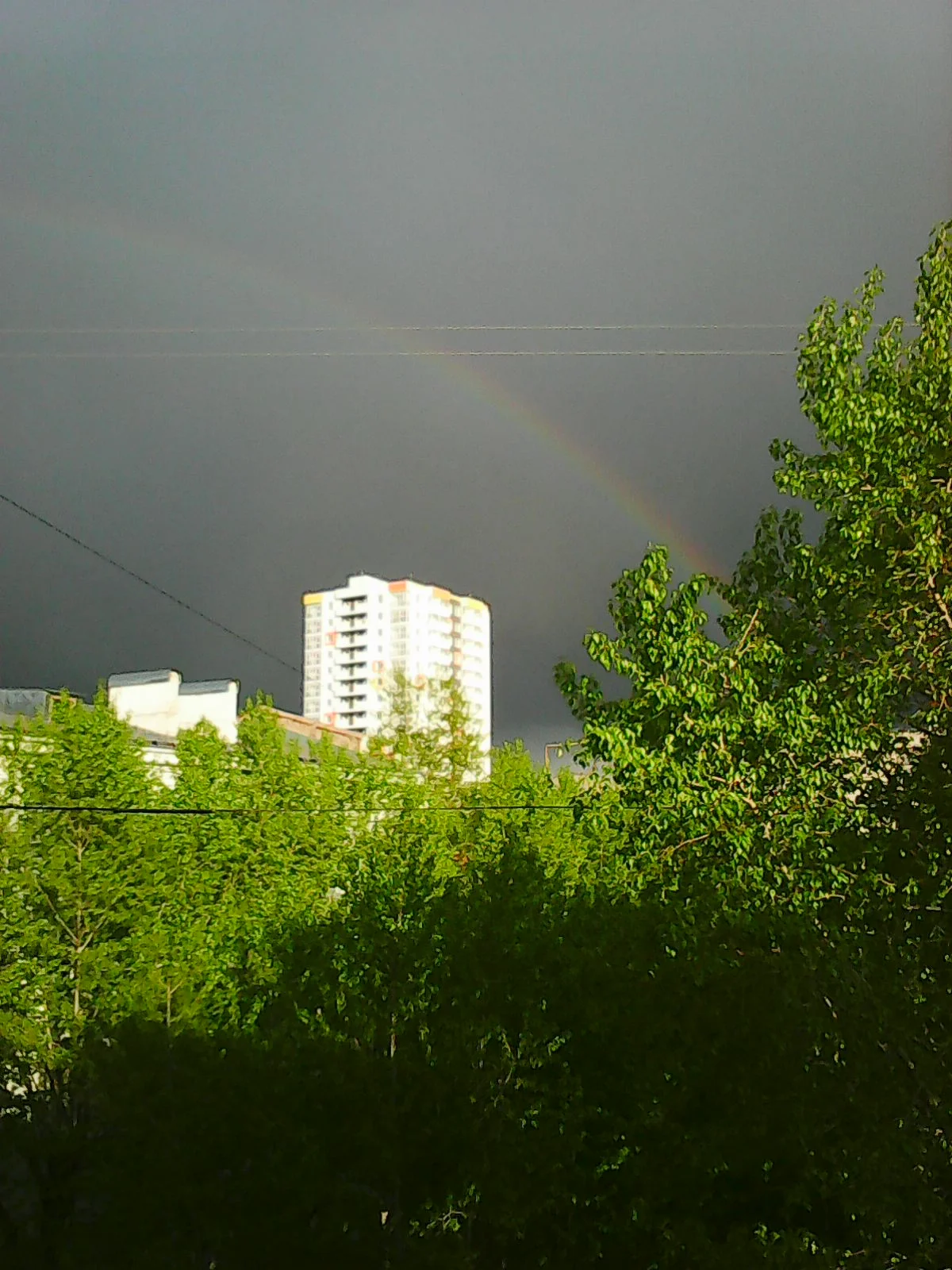 Photo0256.webp