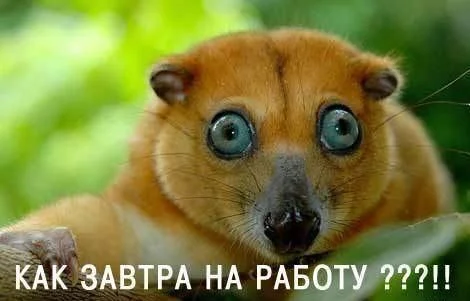 photo_1.webp