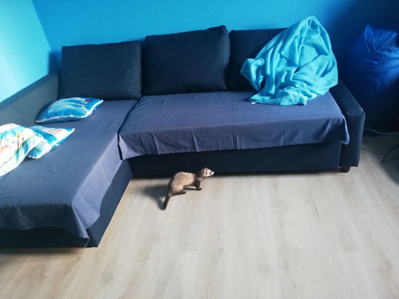 photo_2020-06-14_20-13-53 (2).webp