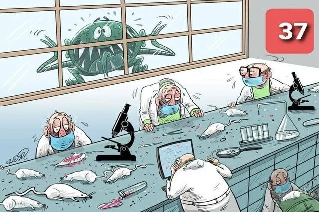 photo_2021-07-02_07-21-04 (3).webp