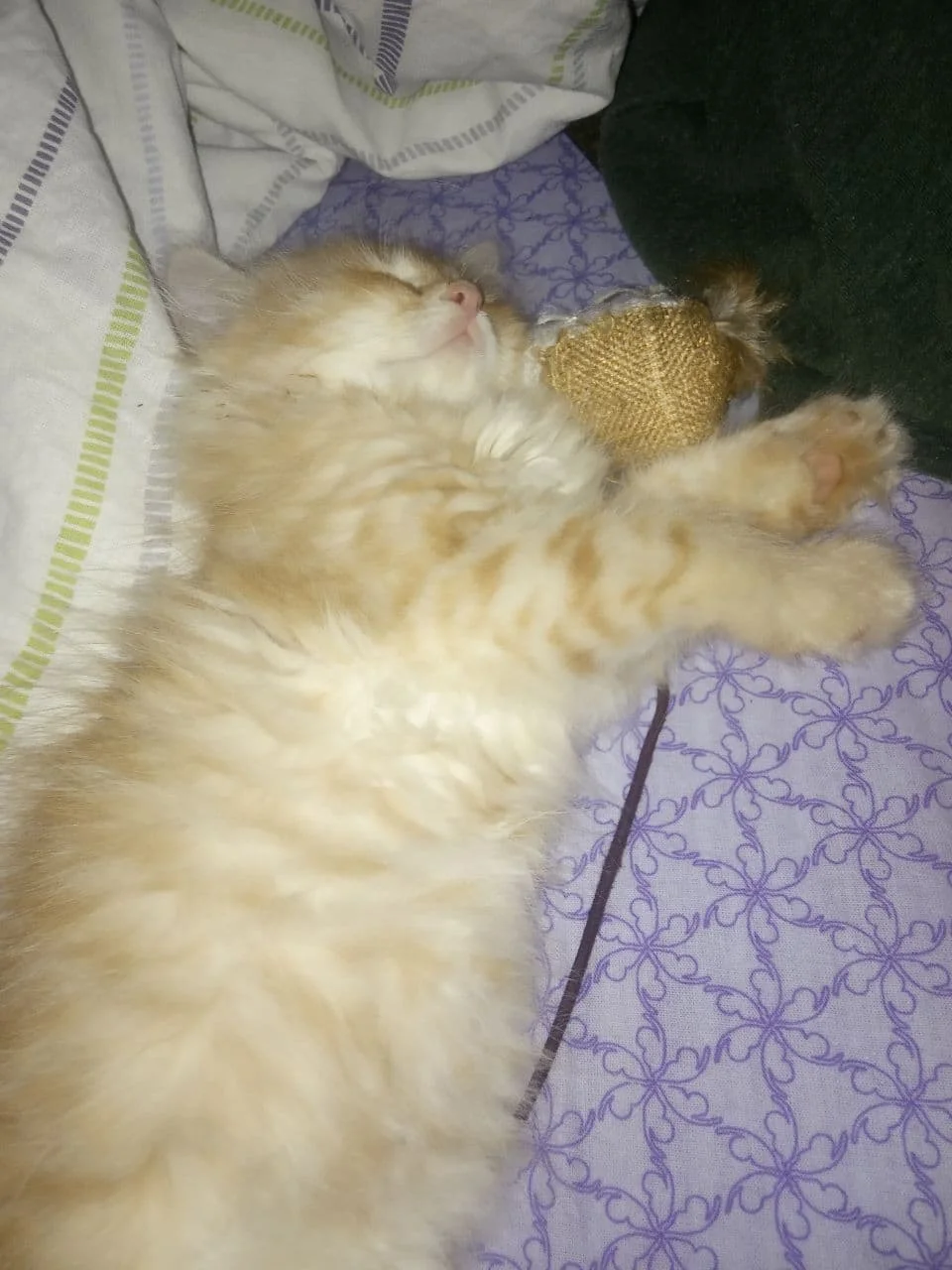 photo_2021-10-02_22-14-43 (2).webp