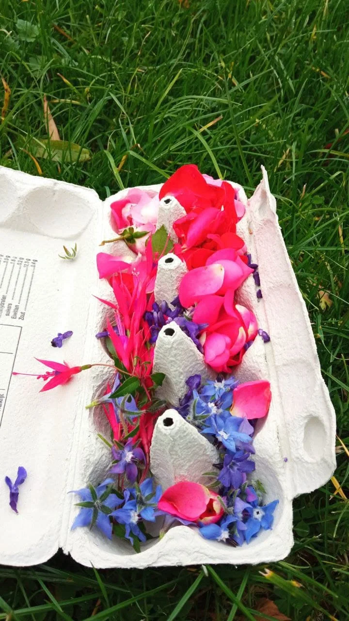 photo_2021-11-09_16-11-35 (2).webp