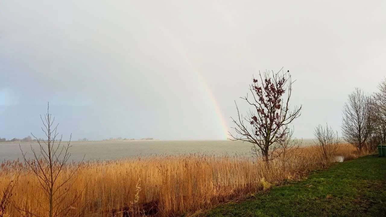 photo_2022-01-09_16-04-16 (2).webp
