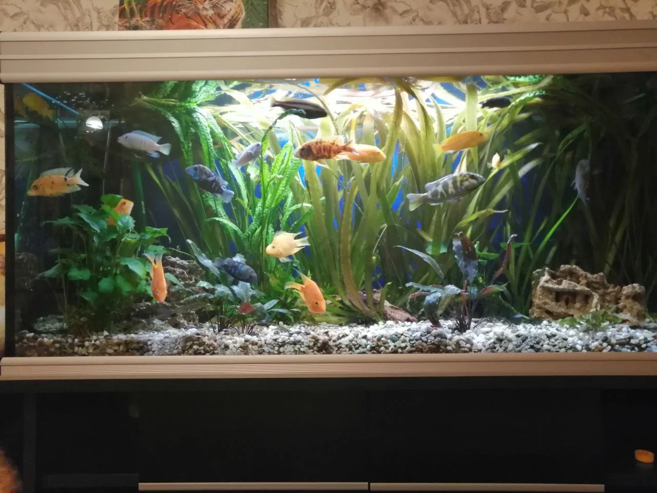 photo_2022-02-06 19.38.58.webp