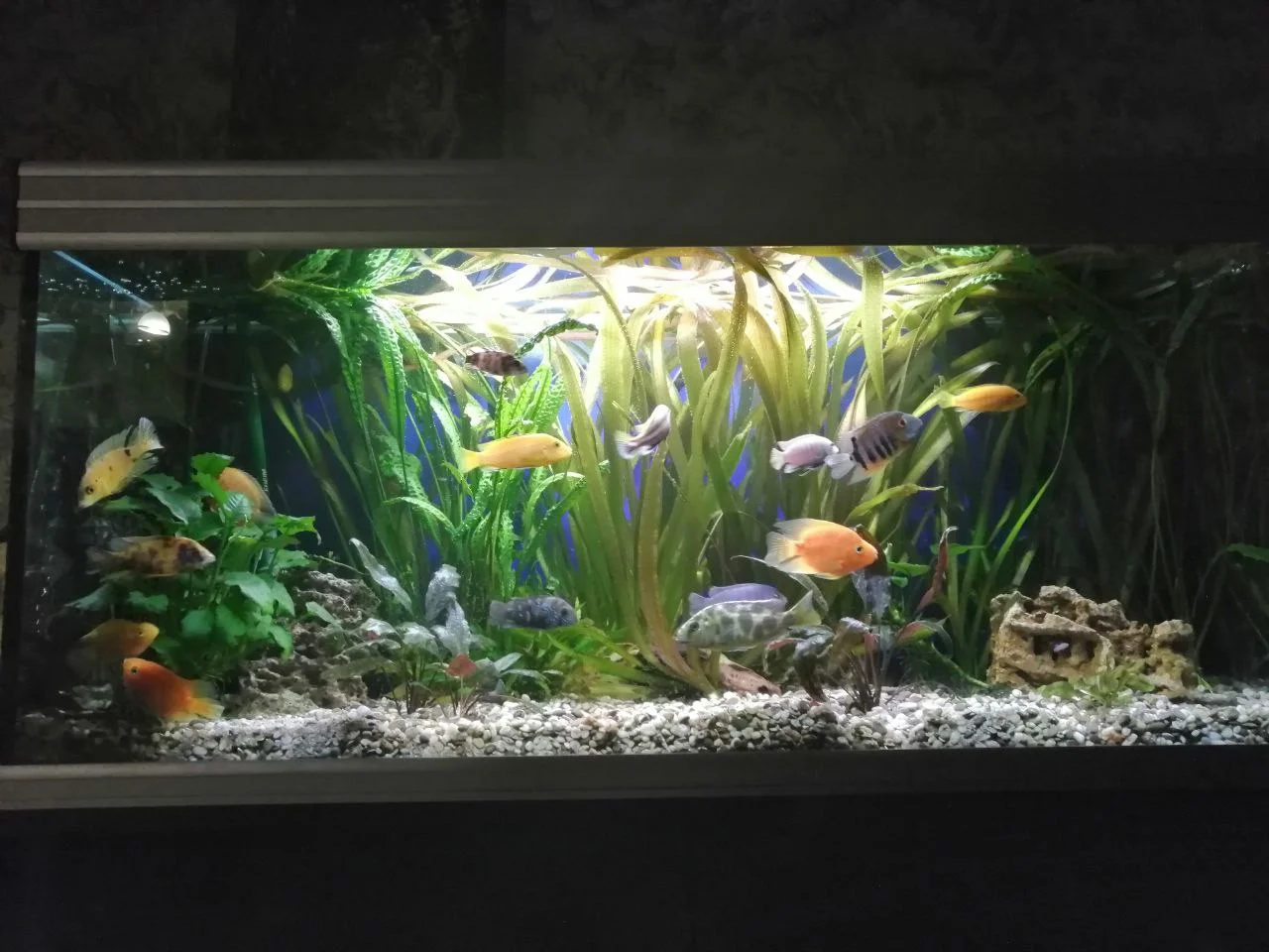 photo_2022-02-06 19.39.07.webp