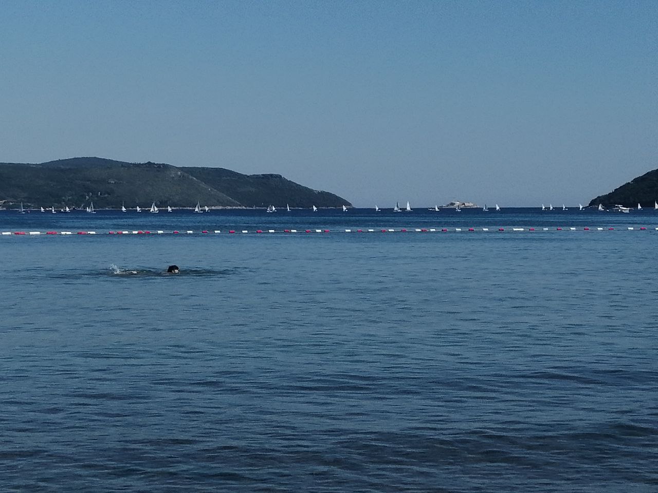 photo_2022-06-19 19.22.32.jpeg