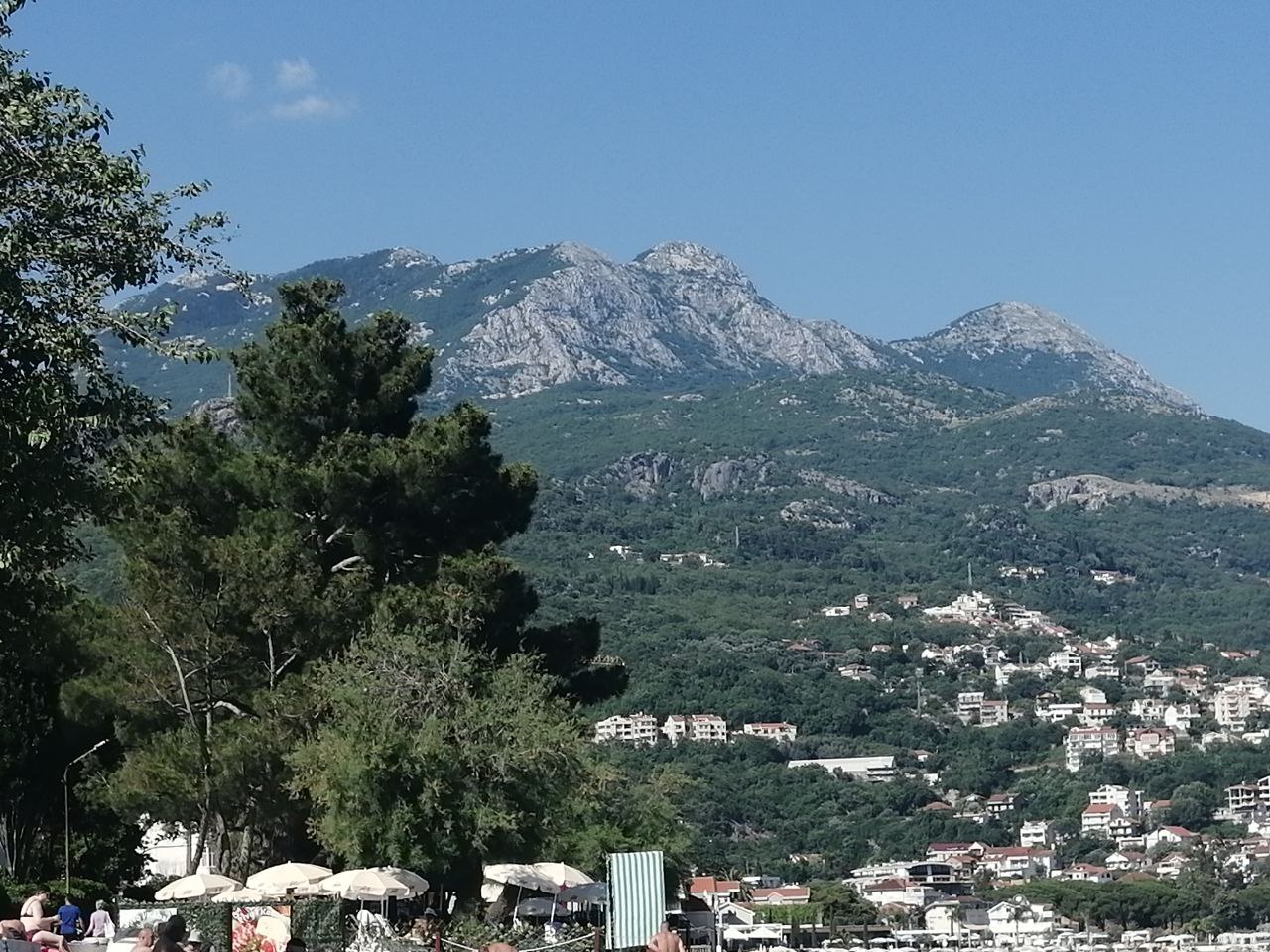 photo_2022-06-19 19.22.38.jpeg