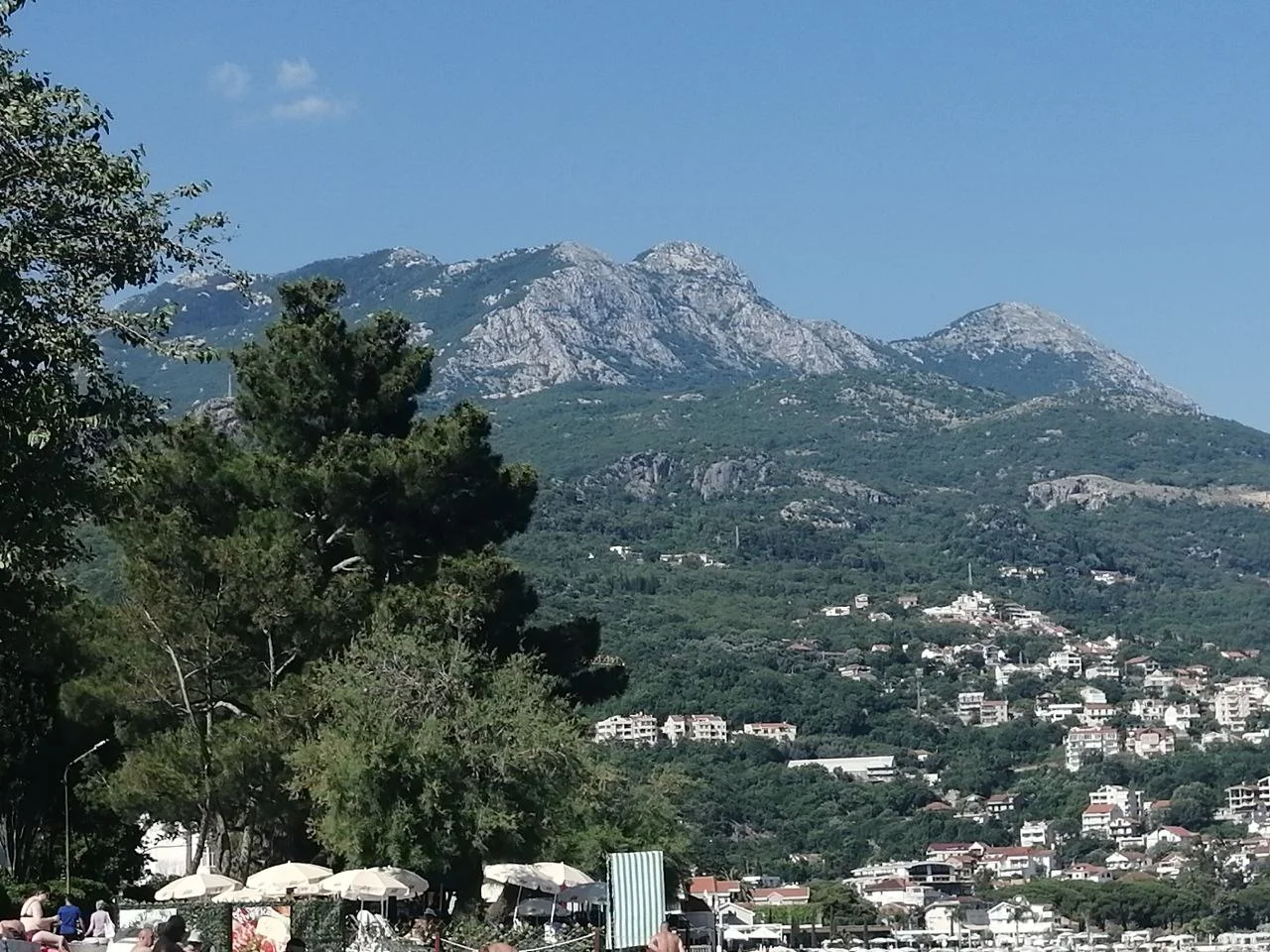 photo_2022-06-19 19.22.38.jpeg