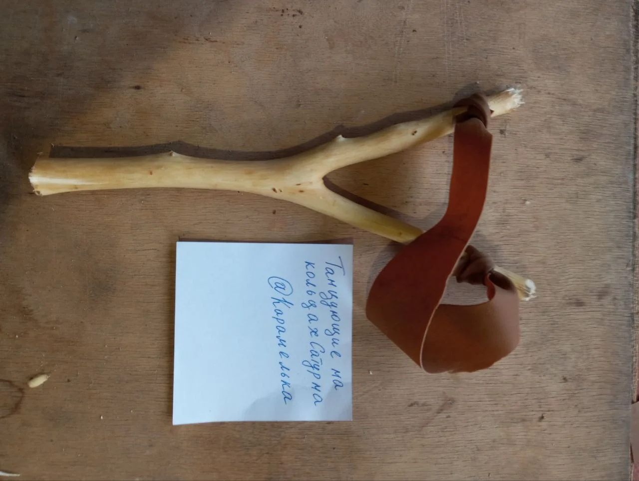 photo_2023-05-10_18-48-35 (3).webp