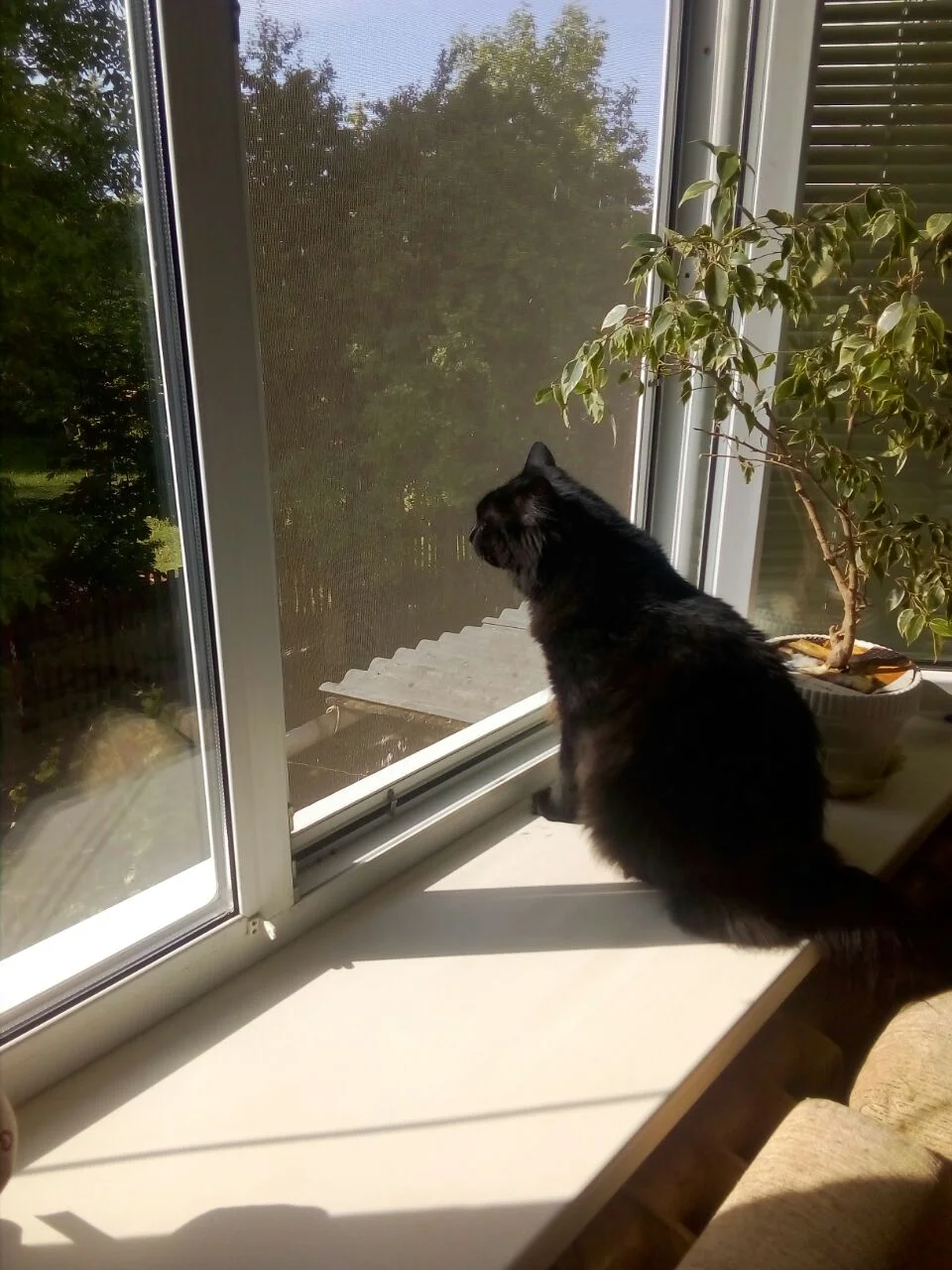 photo_2023-05-21_09-15-56 (2).webp