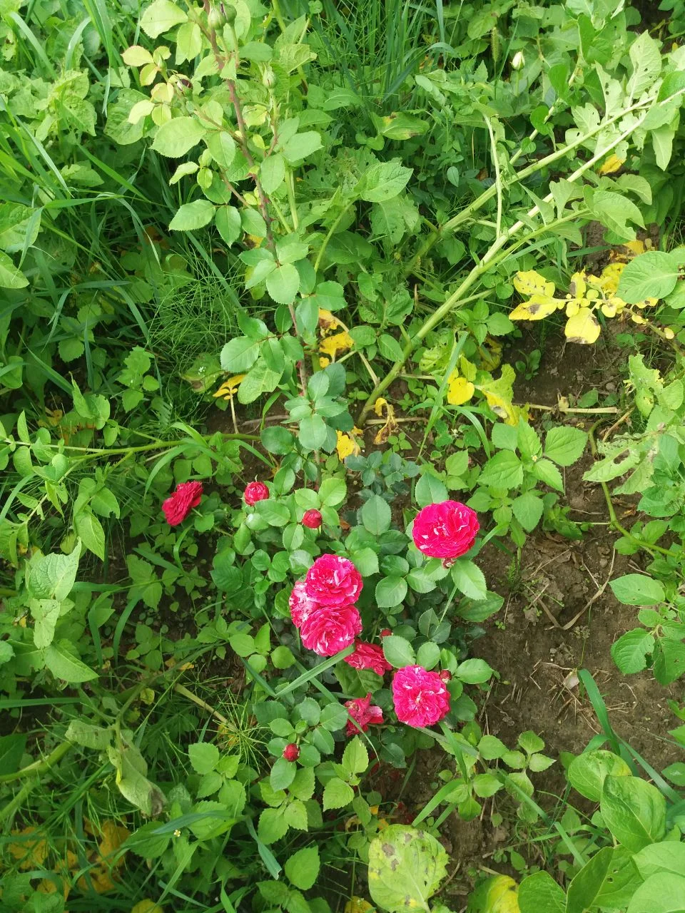 photo_2023-08-03_11-25-40 (2).webp