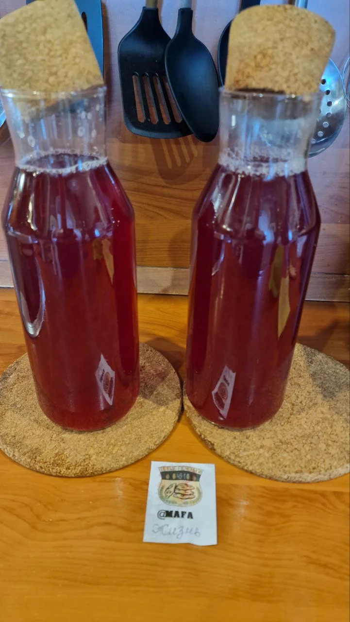 photo_2023-08-03_17-42-53 (3).webp