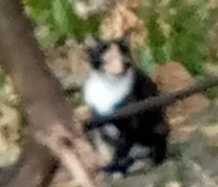 photo_2023-09-24_10-28-38 (2).webp