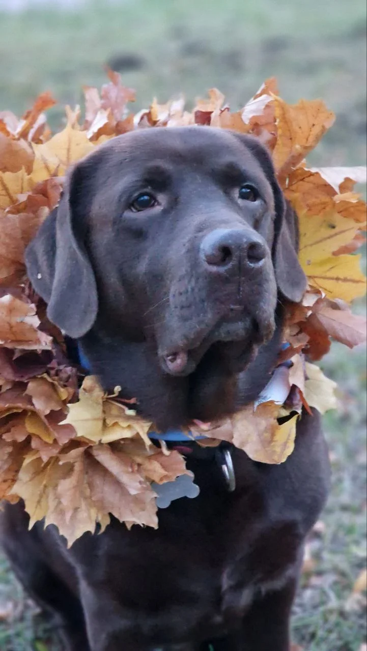 photo_2023-10-25_21-37-04 (4).webp