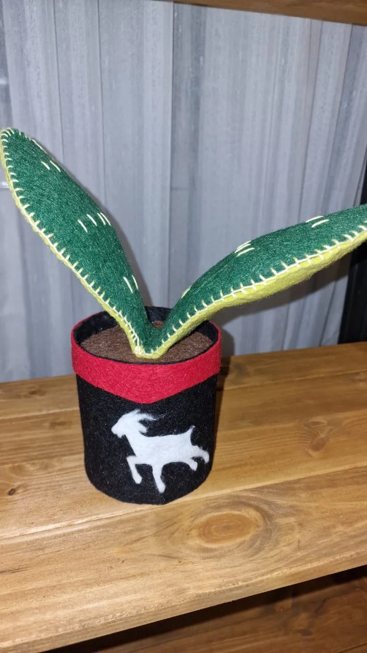 photo_2023-11-17_21-04-09 (2).jpg