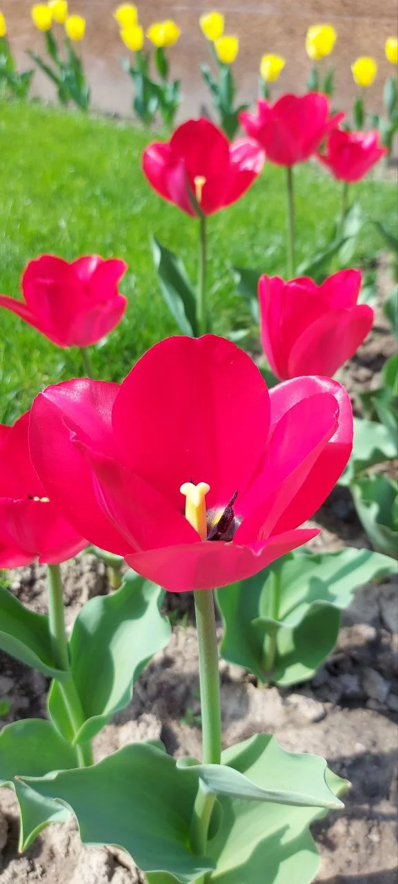 photo_2024-04-19_14-20-30 (2).webp