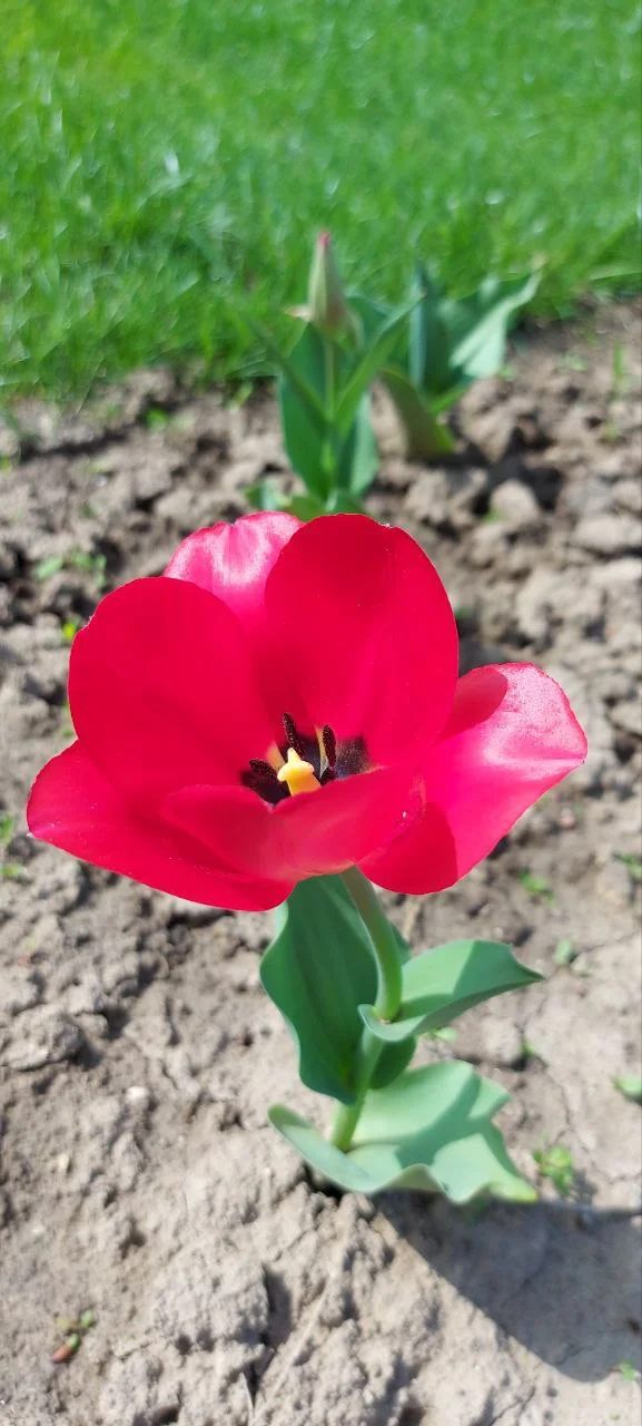 photo_2024-04-19_14-20-31 (3).webp