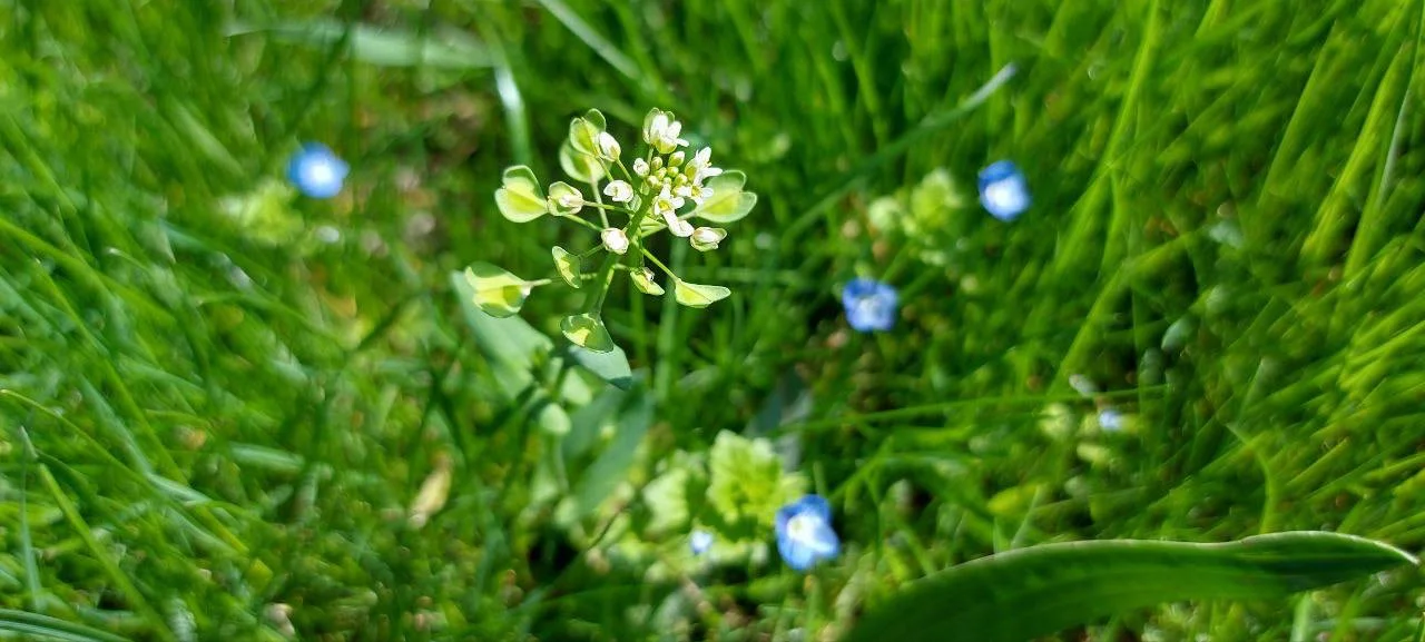 photo_2024-04-19_16-31-21 (2).jpg