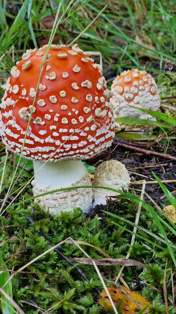 photo_2024-09-06_14-21-49 (2).webp