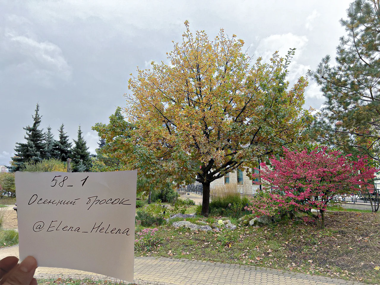 photo_2024-10-3 (2) копия 2.webp