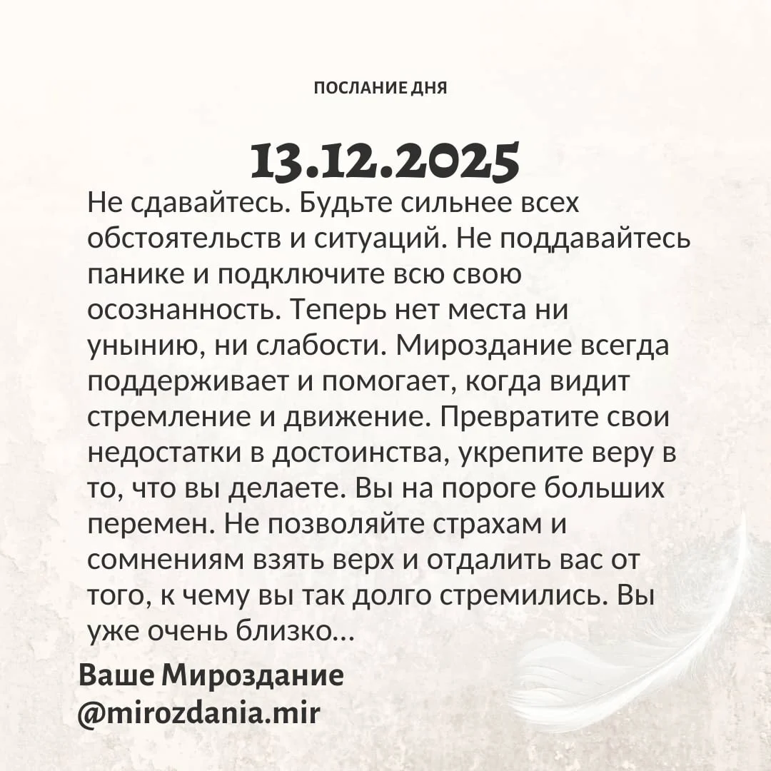 photo_2025-11-15_13-26-07 (2).webp