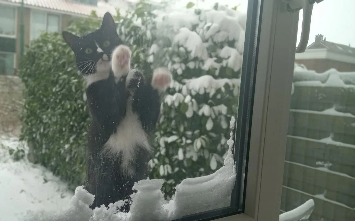 photoeditorsdk-export (5).webp