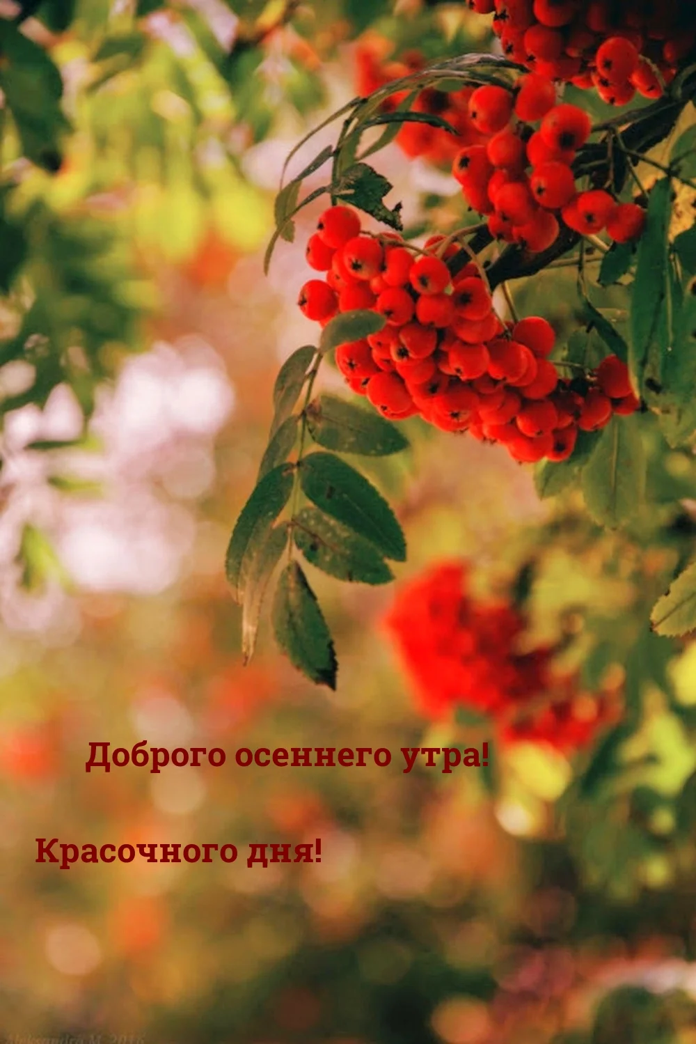 photowords_ru_11250.webp