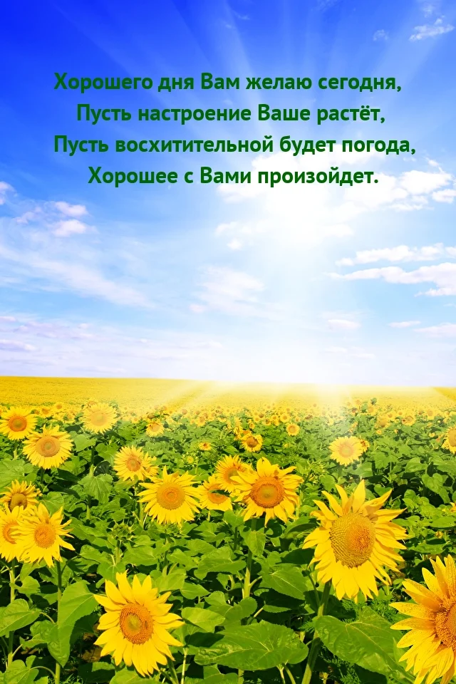 photowords_ru_13710.webp