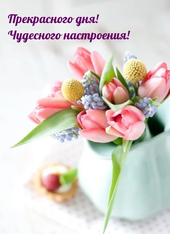photowords_ru_13772.webp