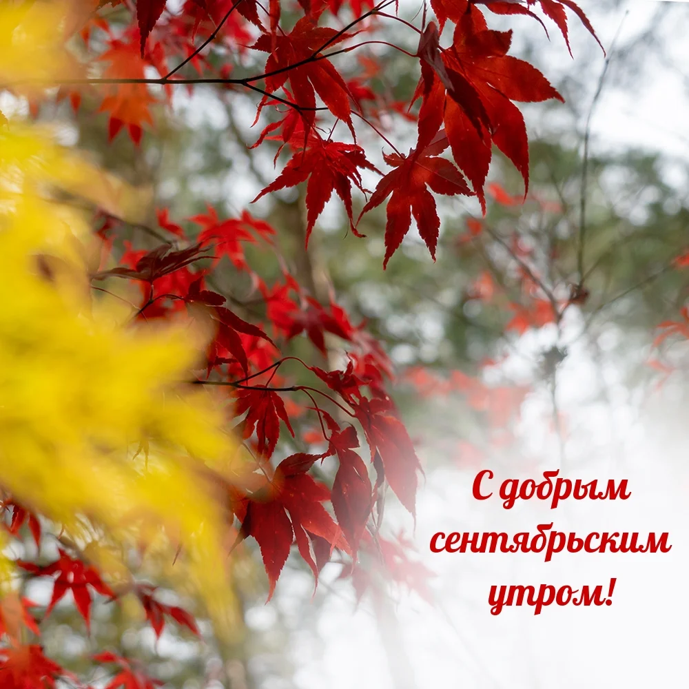 photowords_ru_24803.webp