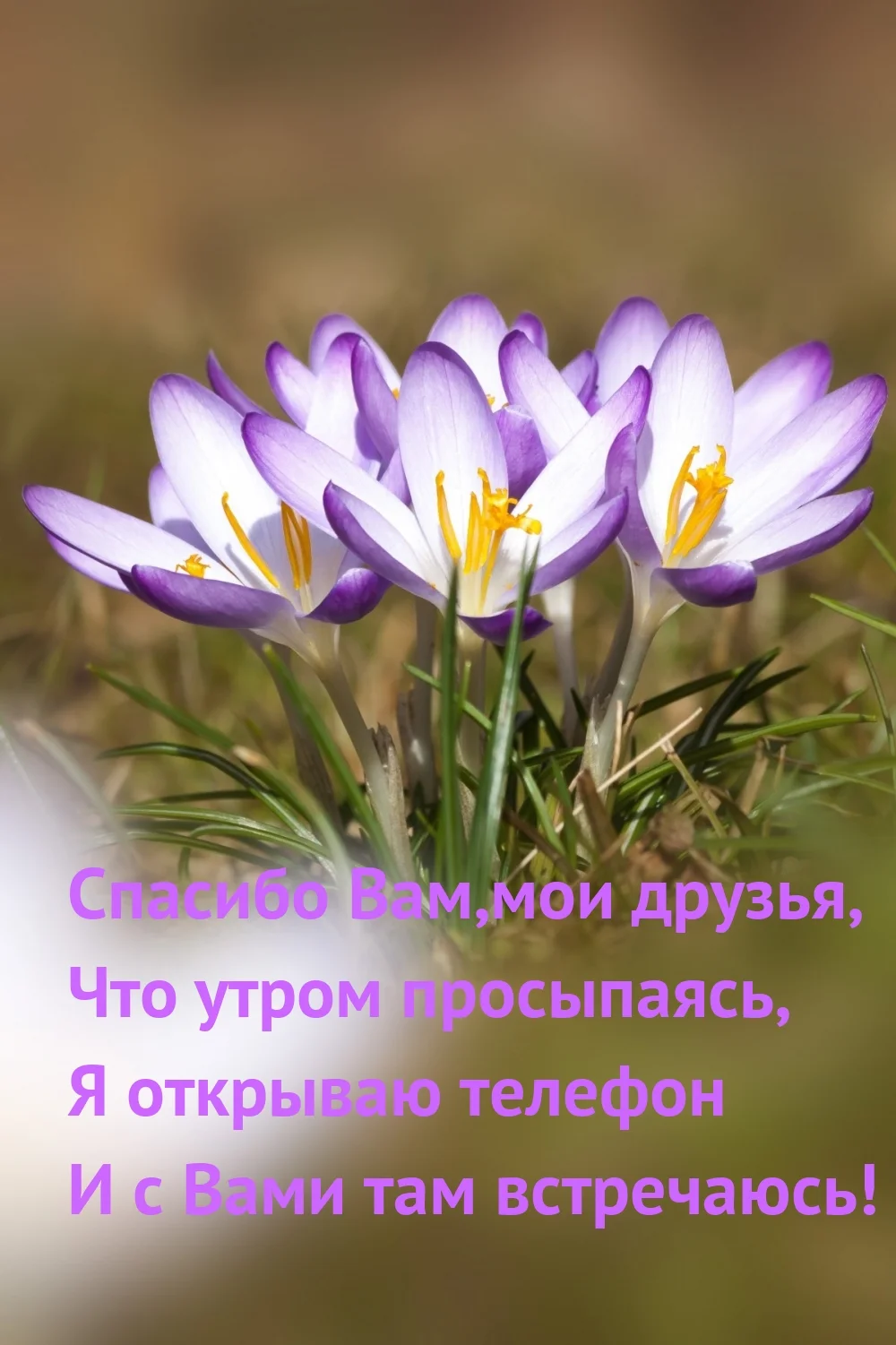 photowords_ru_8066.webp