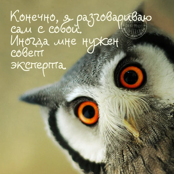 phrase-7.webp