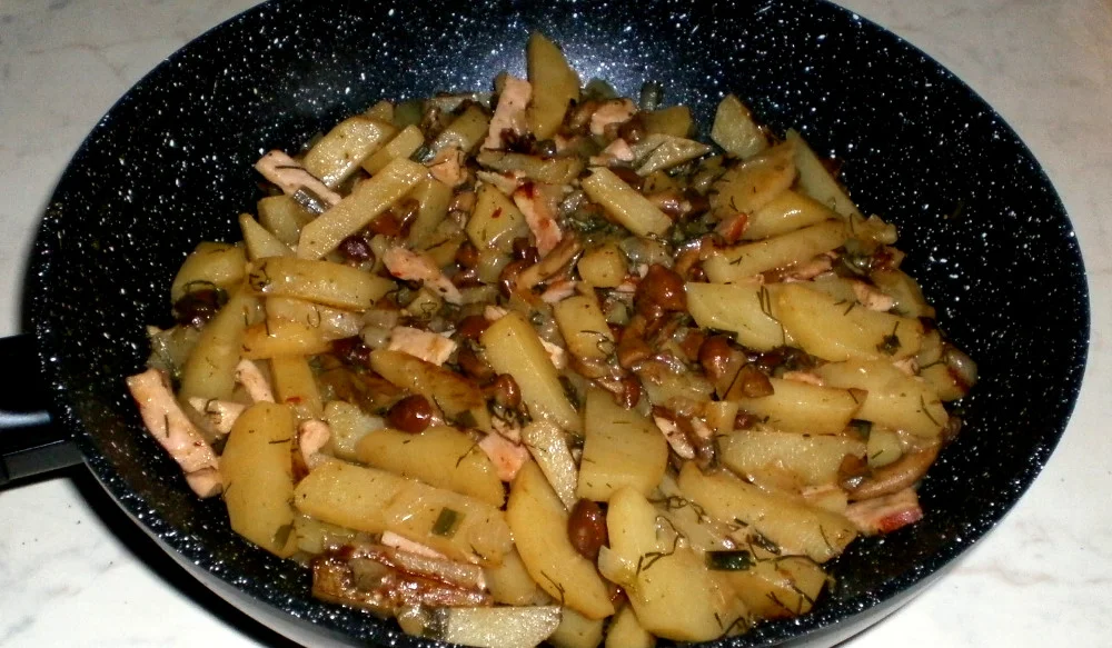 Pic17.webp Pic17.webp