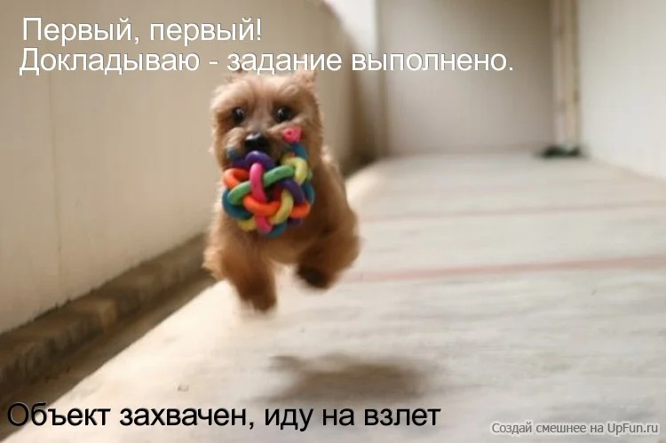 pic316-1287411162.webp
