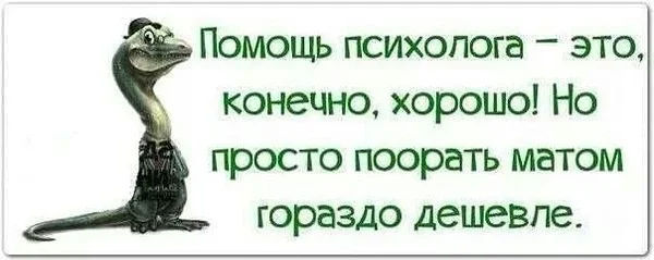 picCALWFEXA.webp