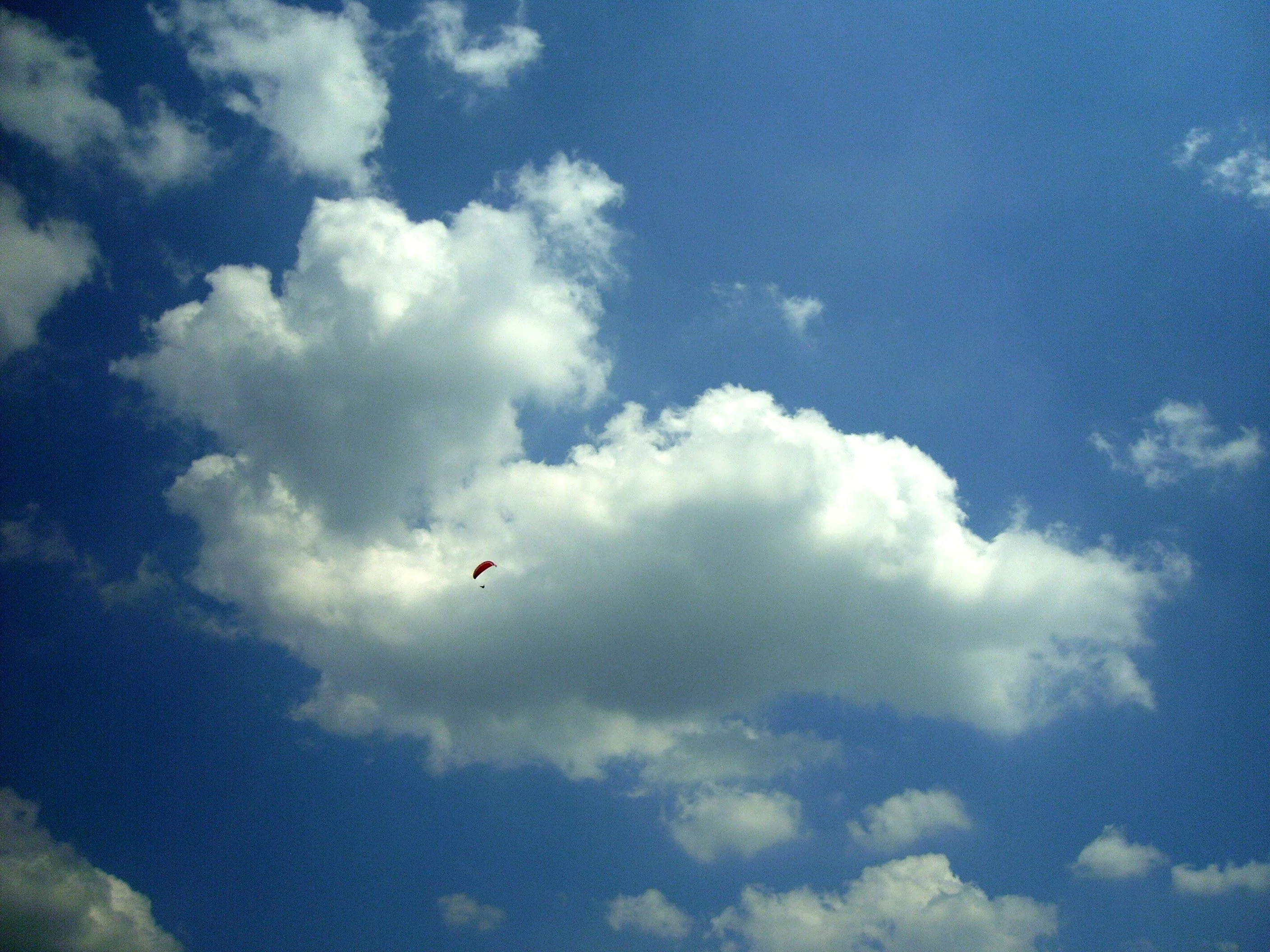 PICT0344_bearbeitet-1.webp