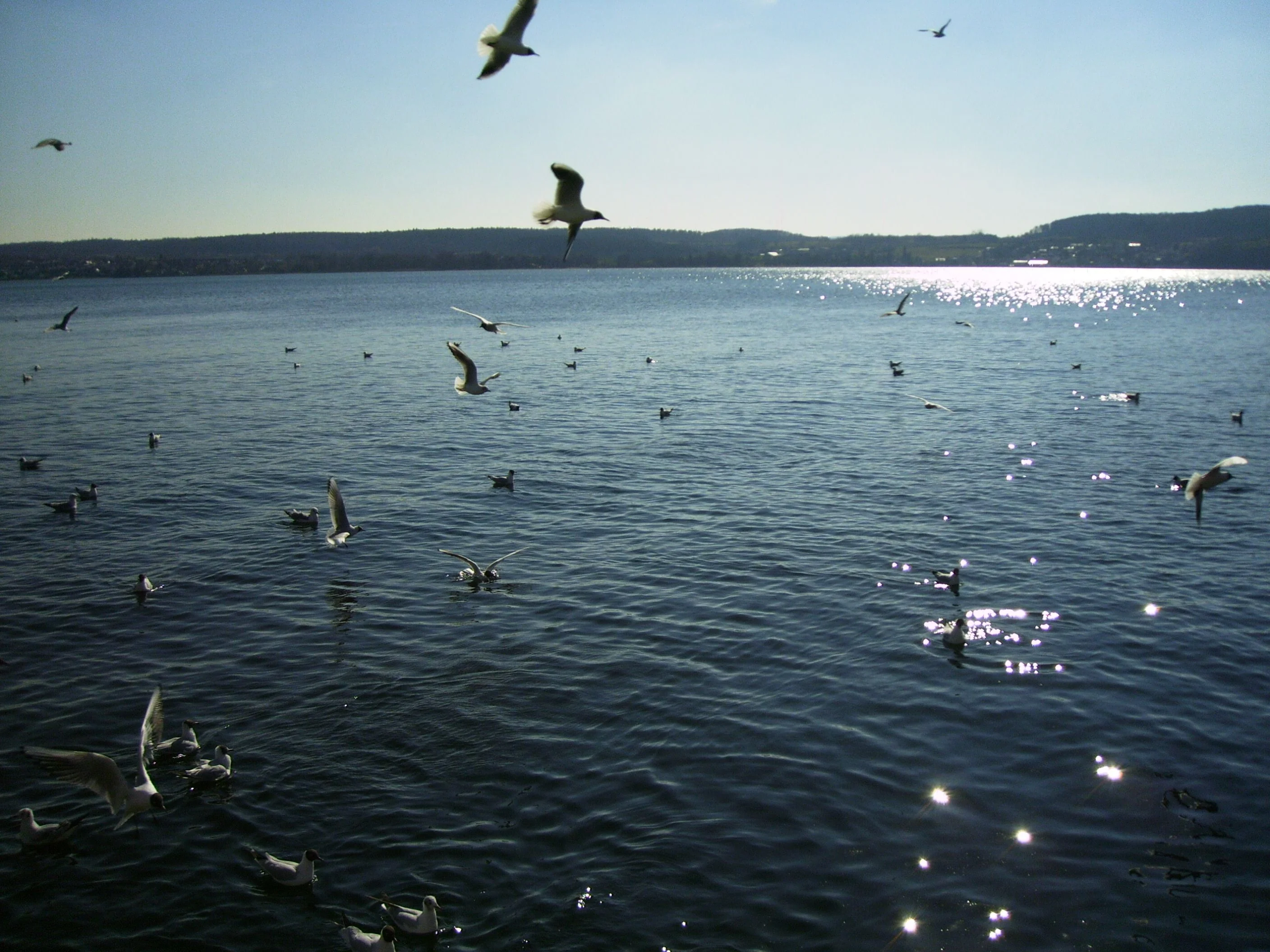 PICT0388.webp