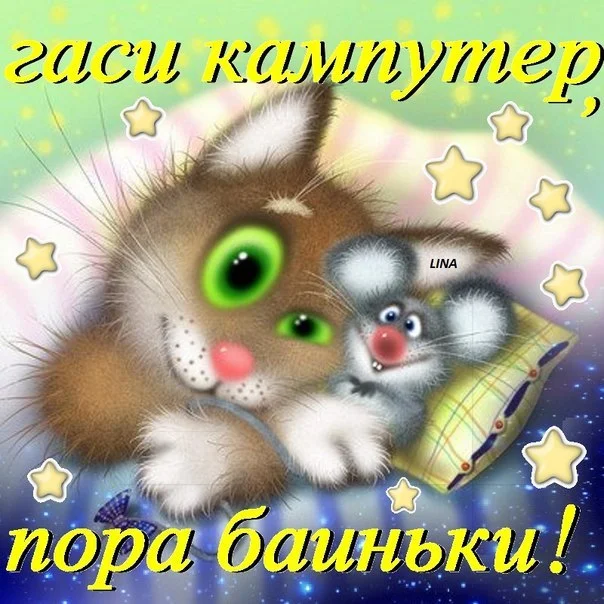 PICT7832.webp