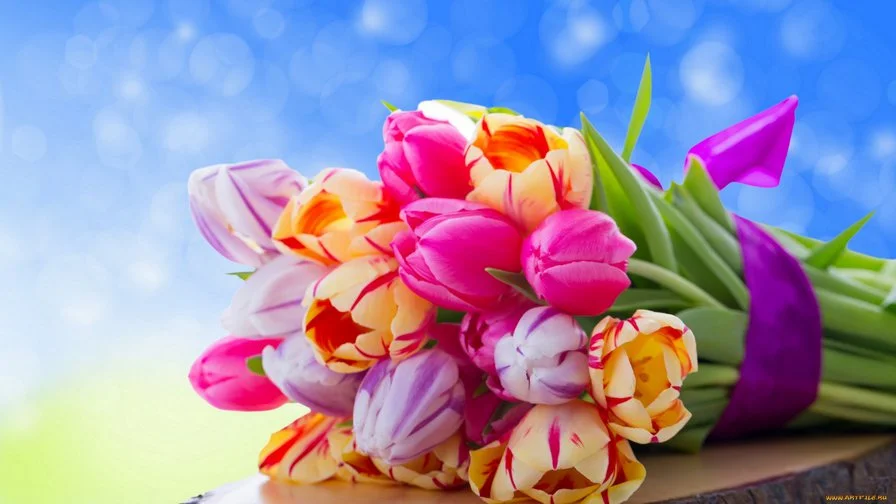 picture.webp