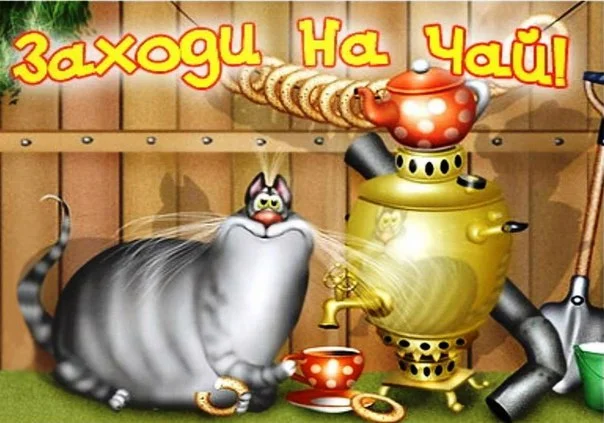 PikuNUYnGKs.webp