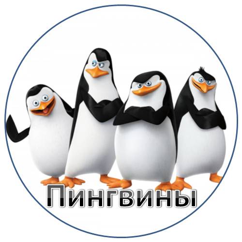 pinguiny.jpg