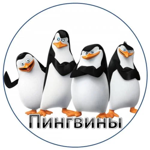 pinguiny.webp